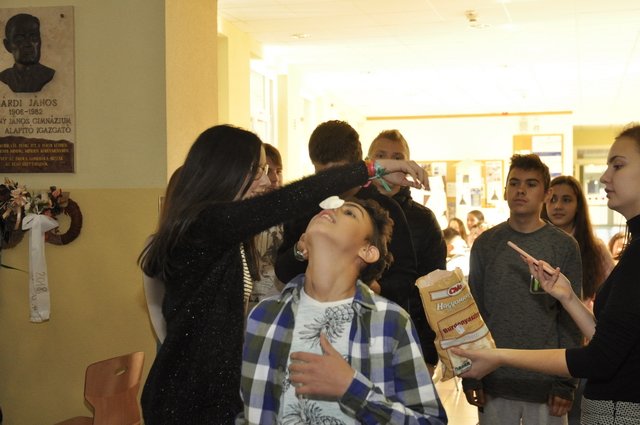 Csibetábor az Aranyban 28